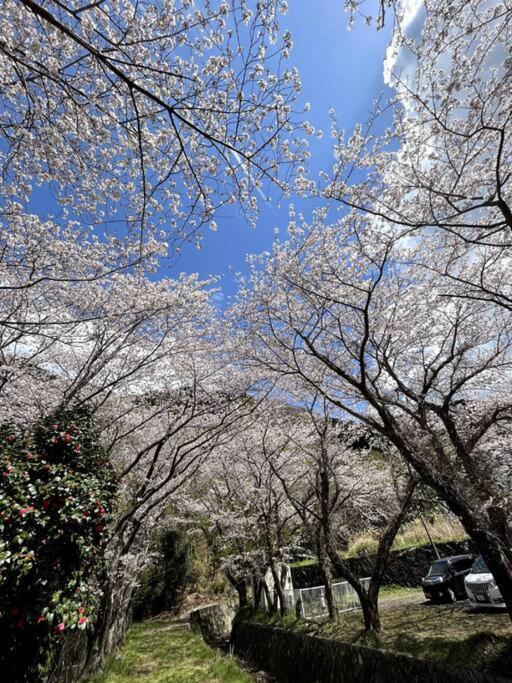 御浜岬の至福を一身に味わう 一軒家貸切宿で贅沢なバーベキューを楽しみながら夕陽に染まる戸田湾の美しさを満喫 Numazu Exteriör bild